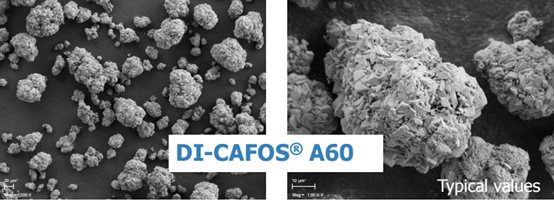 圖片.png 圖片.png