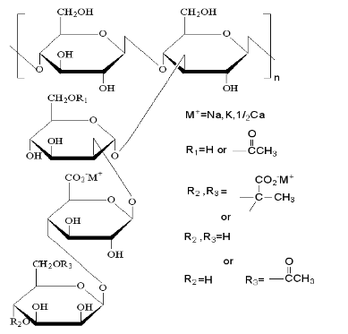 黃原膠.png 黃原膠.png