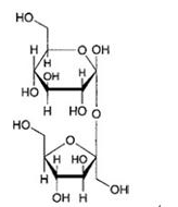 蔗糖.png 蔗糖.png